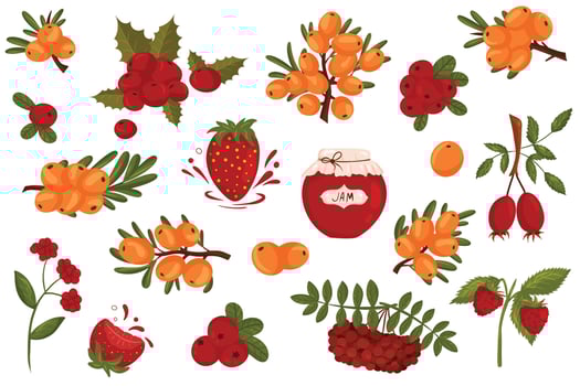 Set of berries with leaves and jam jar vector