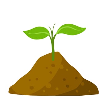 Sprout of plant in ground. Green leaves of young seedlings in soil. Flat cartoon illustration vector