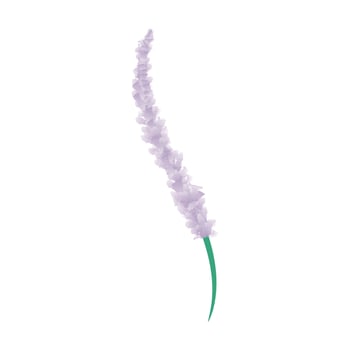 Lavender flower, abstract design vector