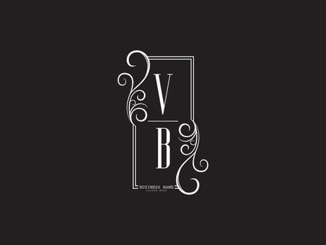 Minimal Vb v b Luxury Logo Letter Design vector