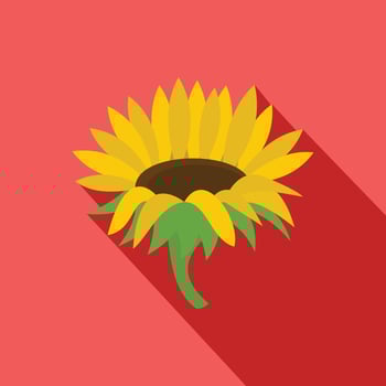 Blossoming sunflower icon, flat style vector