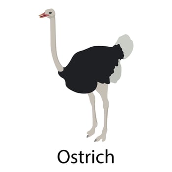 Ostrich icon, isometric style vector