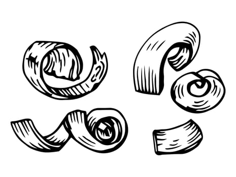 Wooden shavings or chips. Curly wood peel from carving and carpentry work, close up, detailed drawing. Lumber industry themed isolated hand drawn sketch illustration on white background. vector