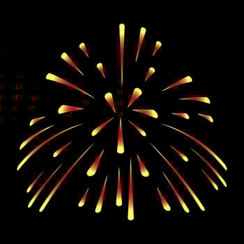Modern flat illustration of firework vector