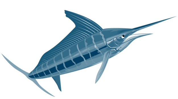 Sailfish Jumping Isolated png
