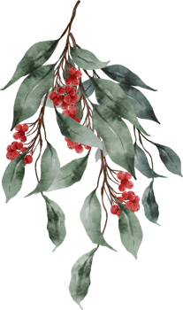 Watercolor Christmas Leaves and Holly png