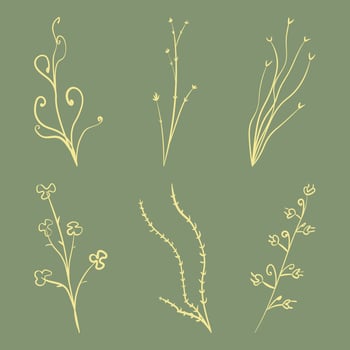 Collection of wild flower bud silhouette vector illustrations