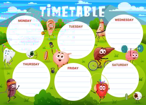 Education timetable cartoon human organs sportsman vector