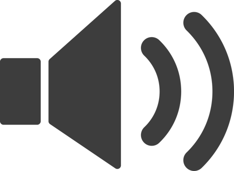 Speaker black icon, Social icon set. png