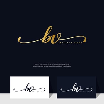 handwriting Initial of letter BV B V feminine and beauty logo design on gold color. vector