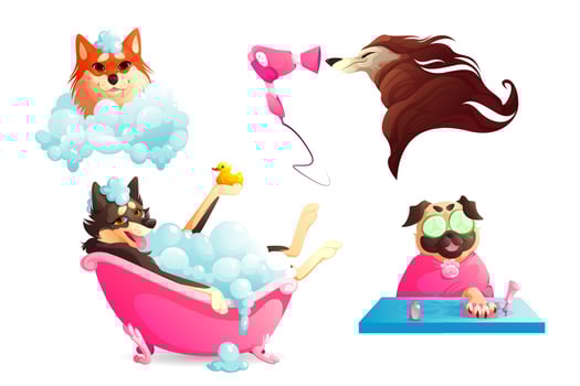 Grooming and spa salon for dogs vector