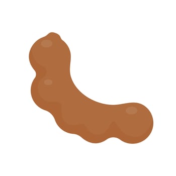 Sweet tamarind. A healthy fruit that is high in fiber. Help the digestive system for vegetarians vector