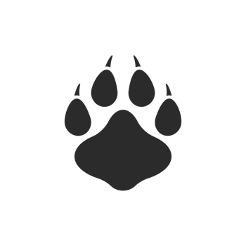 Dog and cat paws with sharp claws. cute animal footprints png