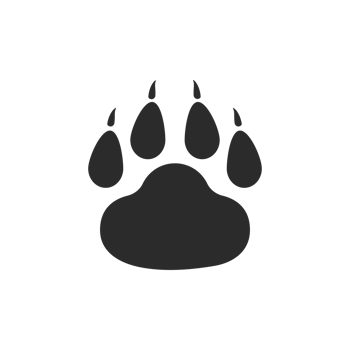 Dog and cat paws with sharp claws. cute animal footprints png