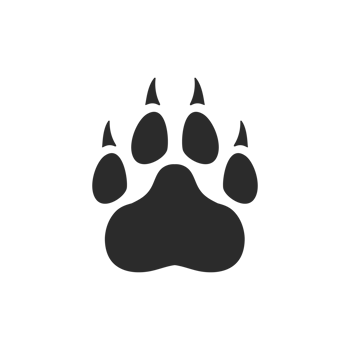Dog and cat paws with sharp claws. cute animal footprints png