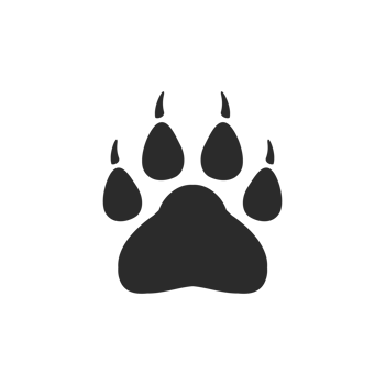 Dog and cat paws with sharp claws. cute animal footprints png