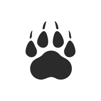 Dog and cat paws with sharp claws. cute animal footprints png