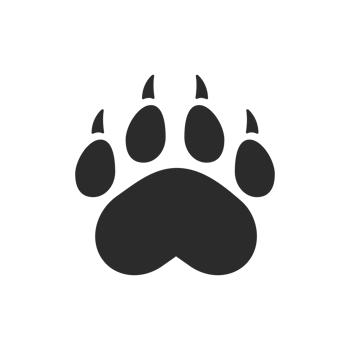 Dog and cat paws with sharp claws. cute animal footprints png