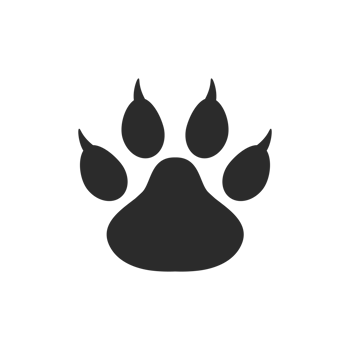 Dog and cat paws with sharp claws. cute animal footprints png