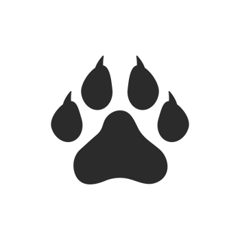 Dog and cat paws with sharp claws. cute animal footprints png