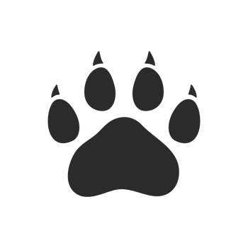 Dog and cat paws with sharp claws. cute animal footprints png