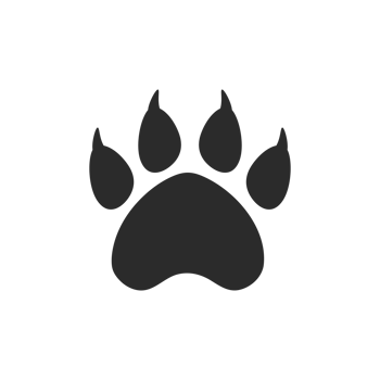 Dog and cat paws with sharp claws. cute animal footprints png