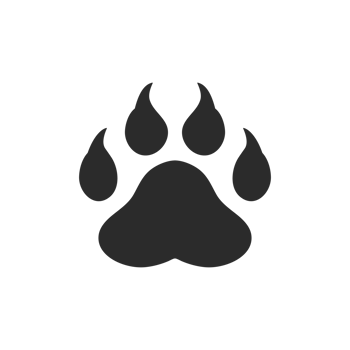Dog and cat paws with sharp claws. cute animal footprints png