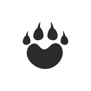 Dog and cat paws with sharp claws. cute animal footprints png