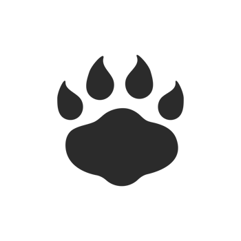 Dog and cat paws with sharp claws. cute animal footprints png