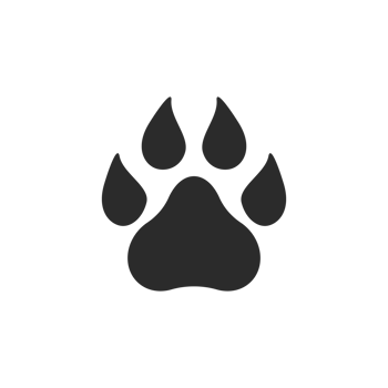 Dog and cat paws with sharp claws. cute animal footprints png
