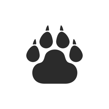 Dog and cat paws with sharp claws. cute animal footprints png