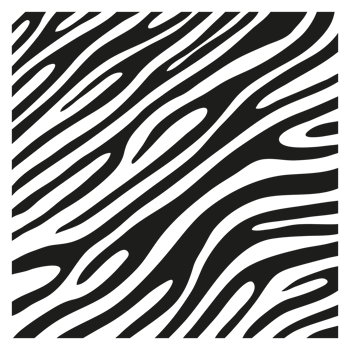 Black stripes on the skin of a zebra for decoration graphics png