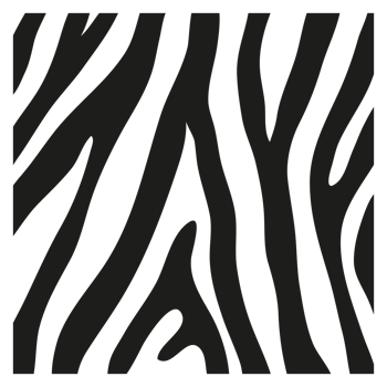 Black stripes on the skin of a zebra for decoration graphics png