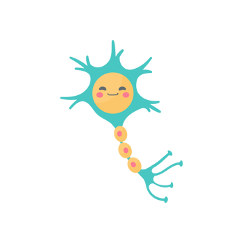 human sensory neuron model for biology studies png