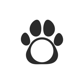 design loves dogs. Heart, bone and floating dog feet for pet supplies stores. png