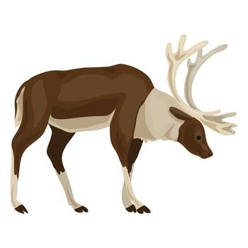 Male deer icon, cartoon style vector
