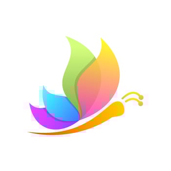 colorful butterfly vector design