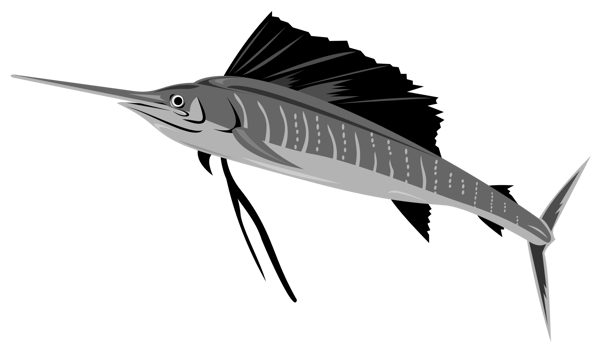 Sailfish Fish Jumping Retro png