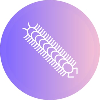 Centipede Vector Icon
