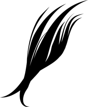 Calligraphic swirl element vector