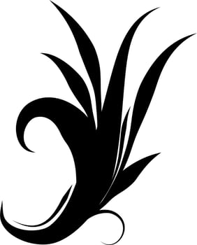 Calligraphic swirl element vector