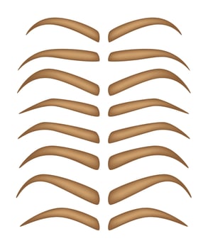 Set of Eyebrow shapes on white background vector