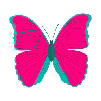 Single colorful butterfly isolated on white background. Exotic tropical insect with bright wings and antennae. vector