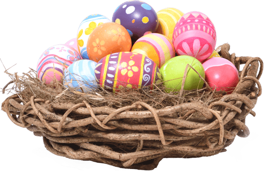 Happy Easter day eggs in nest png