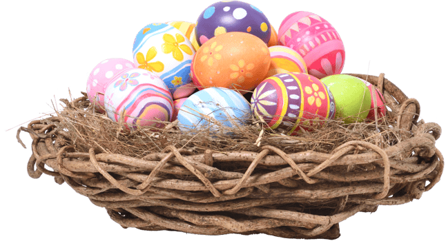 Happy Easter day eggs in nest png
