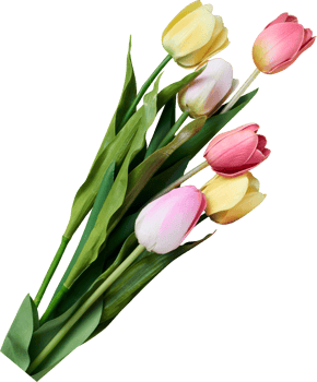 tulip flower for Happy Easter day png