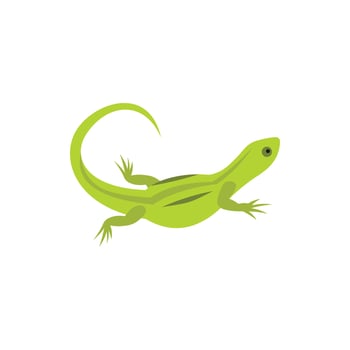 Lizard icon in flat style vector