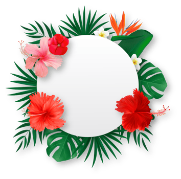 White Empty Summer Frame with Tropical Flowers png