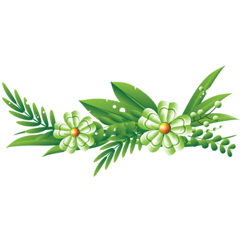 Flowers horizontal frame for decoration png