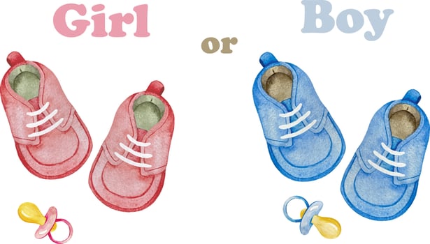 Watercolor Illustration for Gender Reveal party. It's a Girl and It's a Boy. Template for Baby shower party decoration in blue and pink colors, invitation, announcement , poster, etc. vector